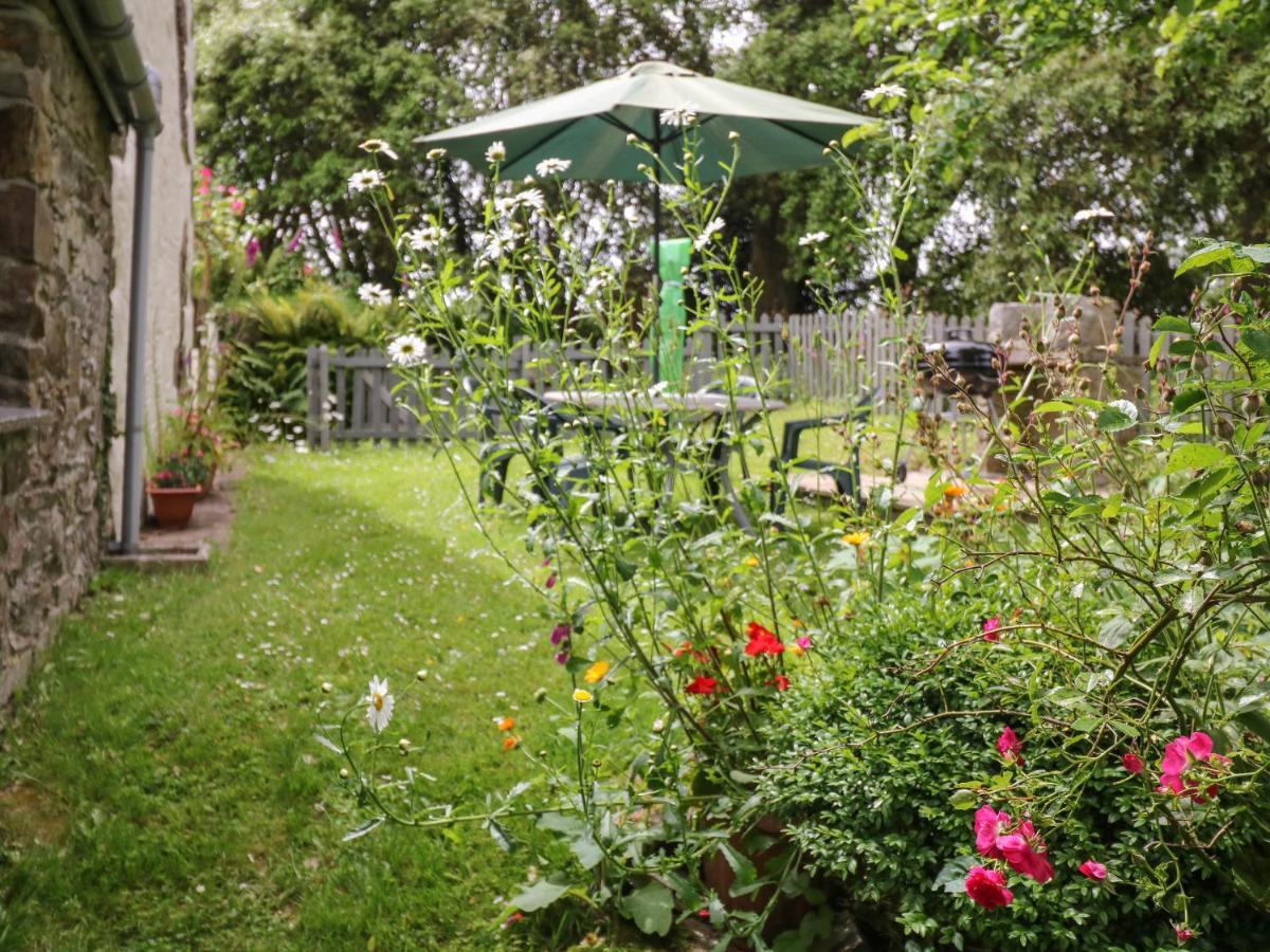 Badger Cottage Mawgan ภายนอก รูปภาพ