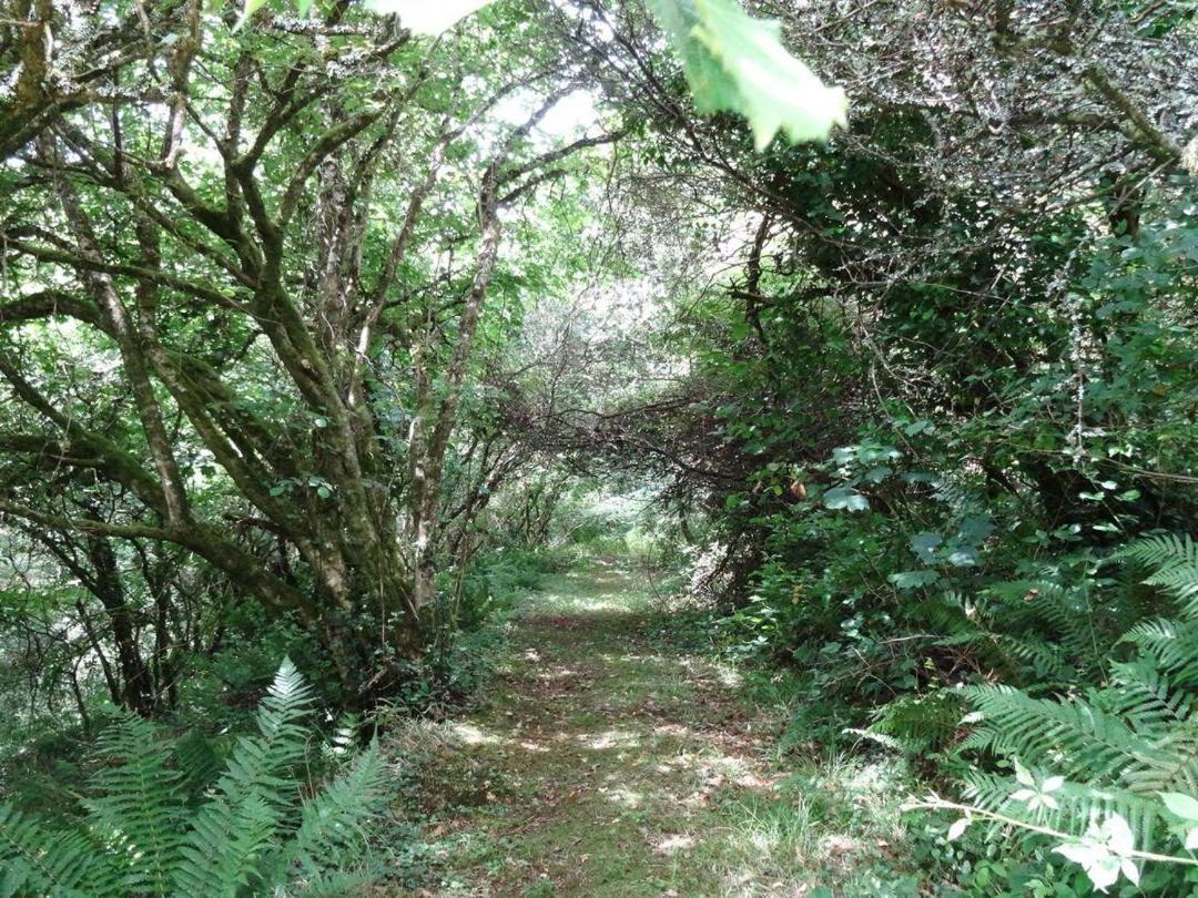 Badger Cottage Mawgan ภายนอก รูปภาพ