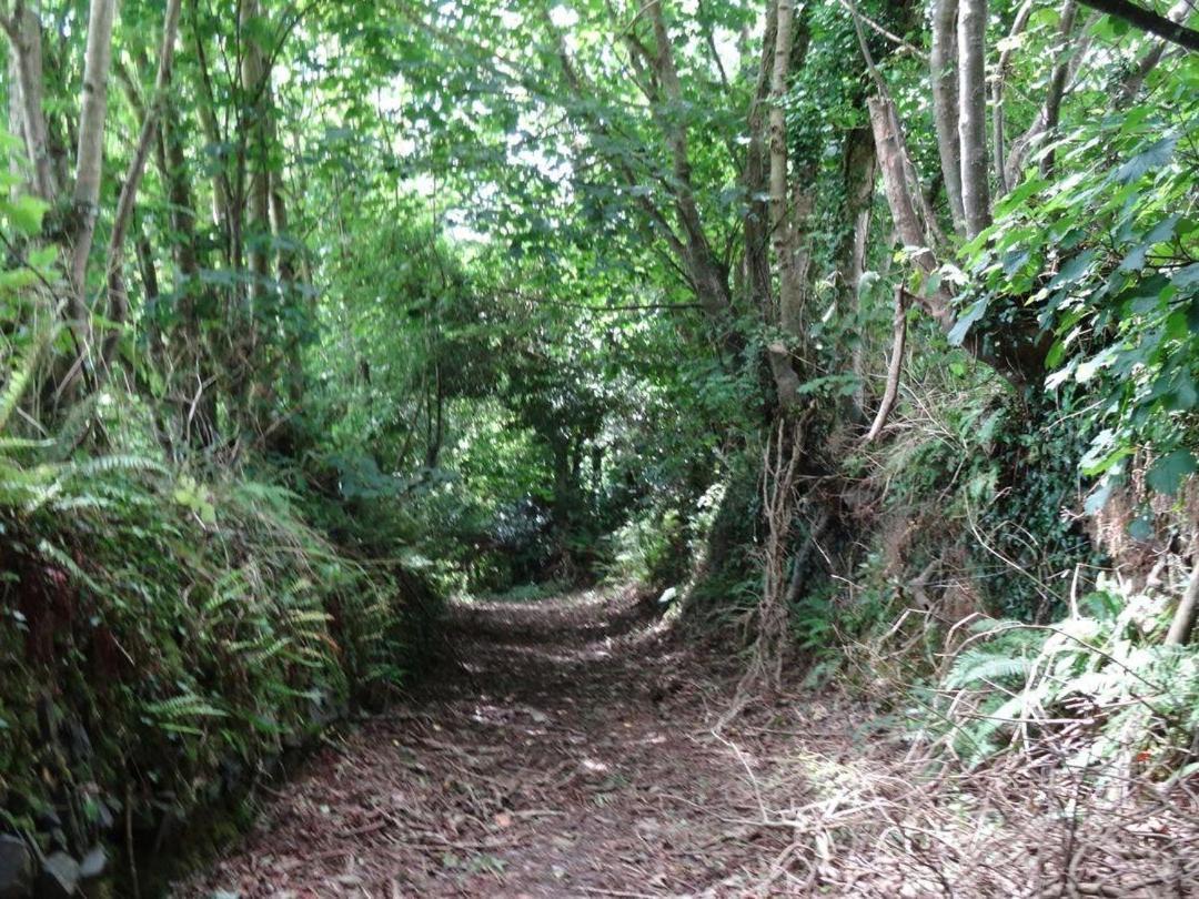 Badger Cottage Mawgan ภายนอก รูปภาพ